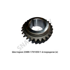 238М-1701050 Шестерня  1-й передачи,Автодизель
