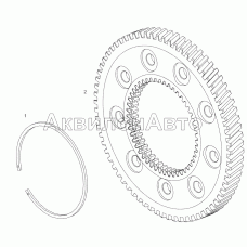 7511.1029119 Шестерня ведомая с кольцом