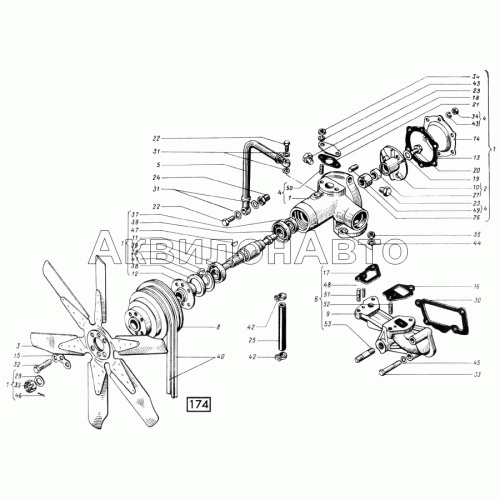 Насос водяной и вентилятор СМД-31, -31А, -31.01, 31Б.04 Насос водяной и вентилятор СМД-31, -31А, -31.01, 31Б.04