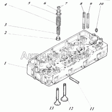 Головка цилиндров с клапанами 440-06с9-10