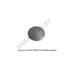 260325 Заглушка 65 OCT шкворня