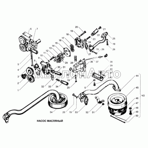 Насос масляный 236-1011014-В3