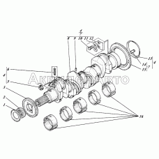 Вал коленчатый 446-04c1-50-01