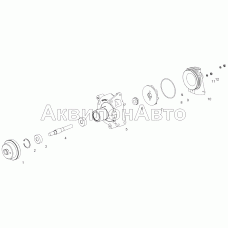 236-1307010-Б2 Насос водяной в сборе