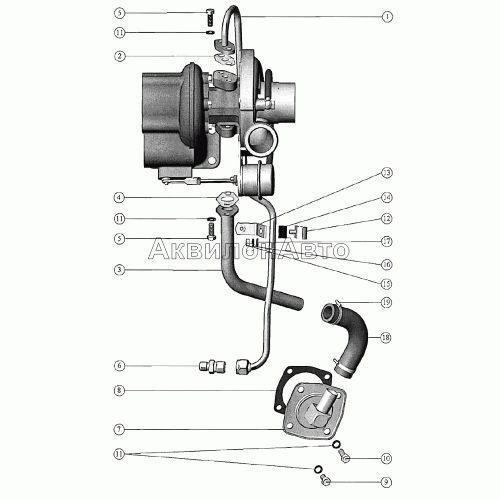 Маслопроводы турбокомпрессора Маслопроводы турбокомпрессора