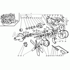 Насос водяной и вентилятор