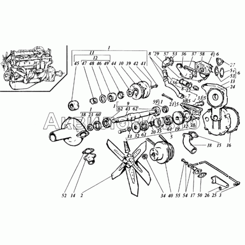 Насос водяной и вентилятор Насос водяной и вентилятор
