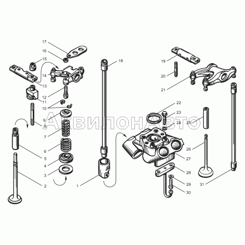 Клапаны и толкатели Клапаны и толкатели