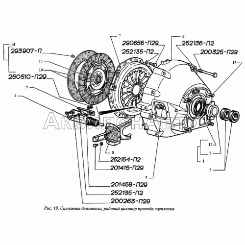 Сцепление, рабочий цилиндр привода сцепления Сцепление, рабочий цилиндр привода сцепления