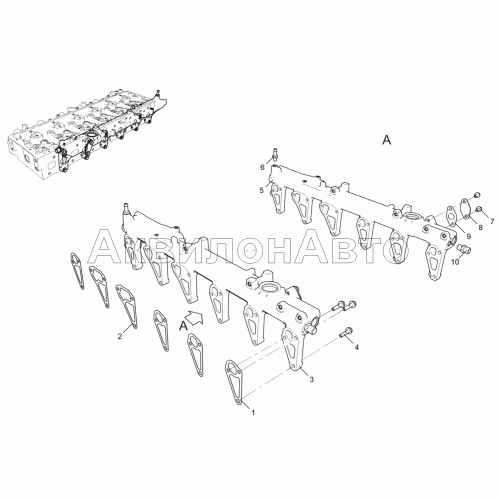 Труба распределительная (для двигателей ЯМЗ-53602-10, ЯМЗ-53622-10, ЯМЗ-53642-10) 53602-30-130300-010 Труба распределительная (для двигателей ЯМЗ-53602-10, ЯМЗ-53622-10, ЯМЗ-53642-10) 53602-30-130300-010