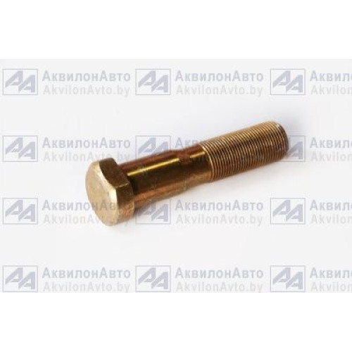 Болт (9919-3104050)