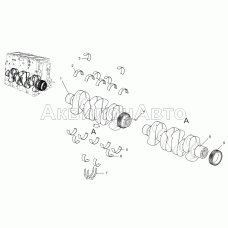 Вал коленчатый 5340-30-100500-010